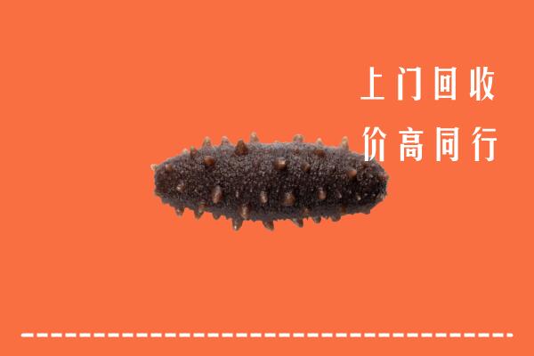 高价求购：镇江回收海参