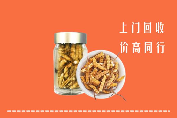 镇江回收冬虫夏草